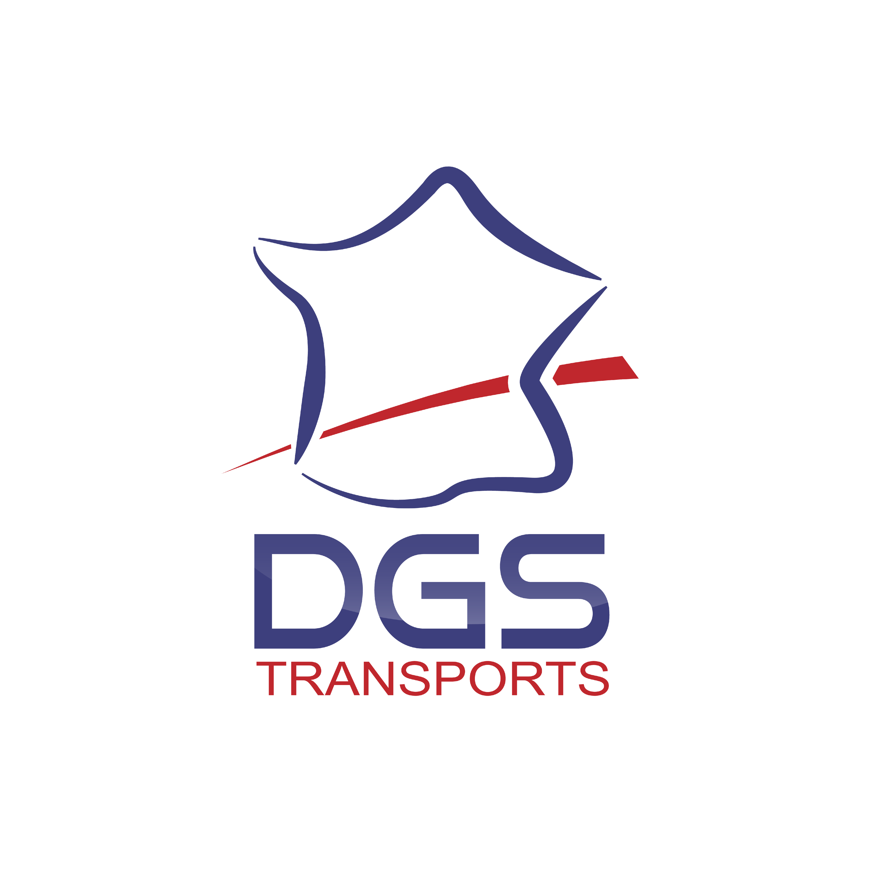 DGS